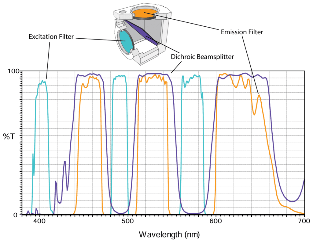 Filters for multiple probe applications