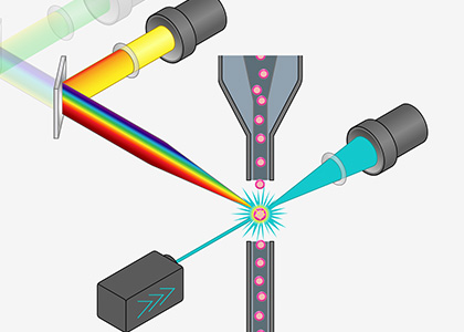 Flow Cytometry